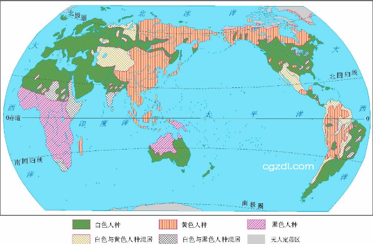 人形机器人,自主站立技,术突破全球,NBA比分直播,NBA即时比分,NBA赛事比分,NBA比赛数据,篮球比赛资讯